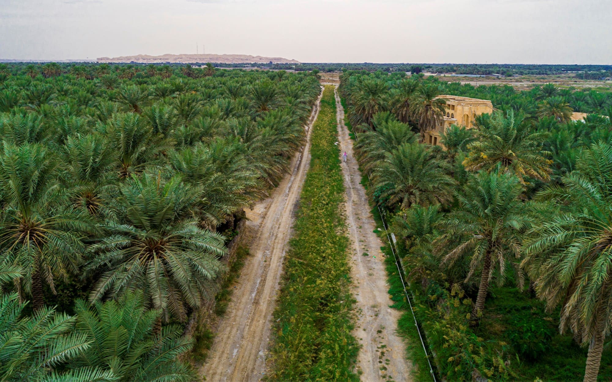 Positioning Waha for Its Next Phase: Shaping the Strategic Foundations of a Regional Development Holding Company